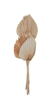 19" Dried Palm Spear Natural