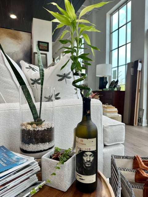 Snoop Cali Red Wine Bottle Bamboo Plant